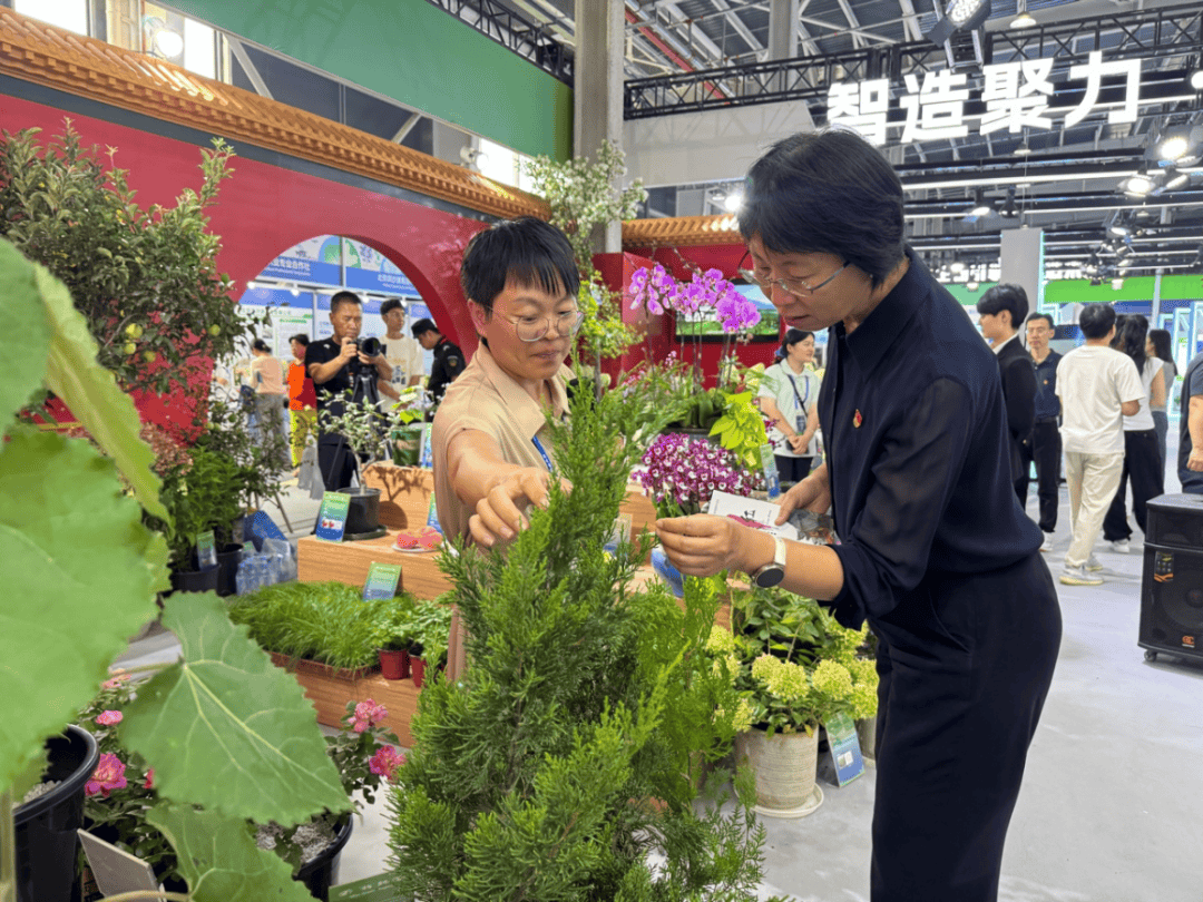 北京市統(tǒng)計局局長李素芳赴通州調(diào)研種業(yè)與現(xiàn)代農(nóng)業(yè)發(fā)展，強調(diào)科技賦能與數(shù)據(jù)支撐